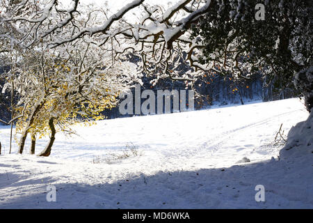 Sonnenschein auf Felder von Schnee Stockfoto