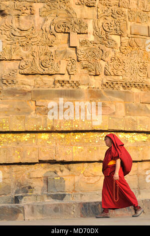 Ein tibetischer Mönch zu Fuß rund um den Stupa in Sarnath Dhamek Stockfoto