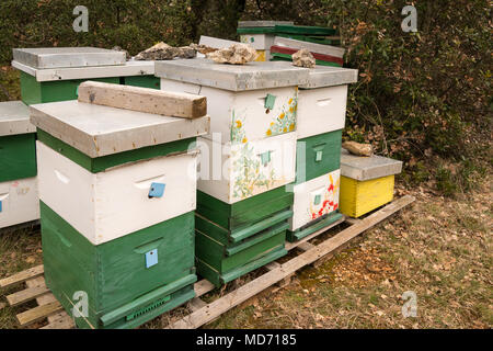 Bienenhaus auf einer Weide in Kroatien im Frühjahr (Insel Cres) Stockfoto
