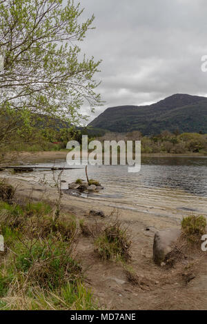 Lakefront, seichtes Wasser, See, Berge, nassen Sand umgeben, Nationalpark Killarney, Kerry, Irland, Europa Stockfoto