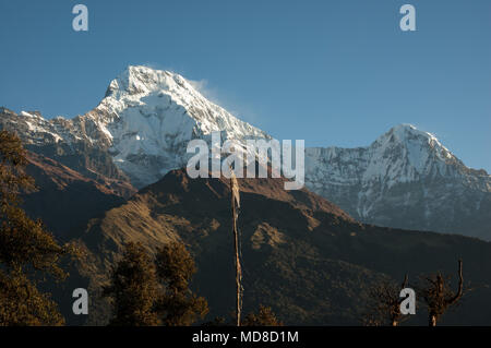Am frühen Morgen geschossen von Annapurna Süd illumated durch die aufgehende Sonne während wisps der weiße Schnee, von Peak geblasen, klar gegen deep blue sky zeigen Stockfoto