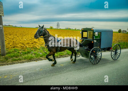 Ein Amish Pferd und Wagen fährt auf einer Landstraße in Lancaster County, Pennsylvania Stockfoto