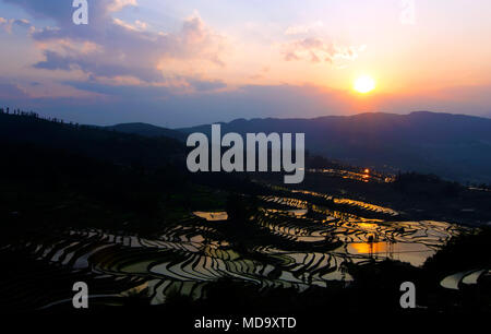 Yuanyang Reis Terrasse von Duo Yi Shu Dorf, Provinz Yunnan, China Stockfoto