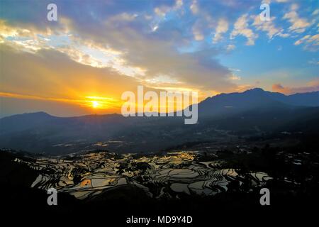 Yuanyang Reis Terrasse von Duo Yi Shu Dorf, Provinz Yunnan, China Stockfoto