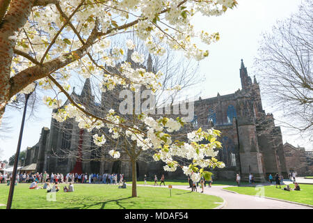 Die Menschen nehmen eine Pause von der Arbeit auf dem Rasen außerhalb Hereford Cathedral. Stockfoto