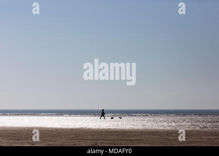 Lytham St Annes, Lancashire, UK. 19.4./18 sonnige Wetter am Strand in Lytham St Annes, Lancashire, heute Heute bei steigenden Temperaturen in ganz Großbritannien. (Donnerstag 19. April 2018). Ein Hund Walker am Strand. Bild von Chris Bull/Alamy leben Nachrichten Stockfoto