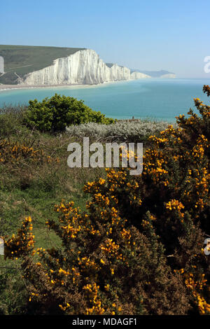 Seaford, East Sussex, England. 19. April 2018. Fabelhafte Frühlingssonne an Cuckmere Haven mit Blick auf die sieben Schwestern, East Sussex. Credit: Julia Gavin/Alamy leben Nachrichten Stockfoto