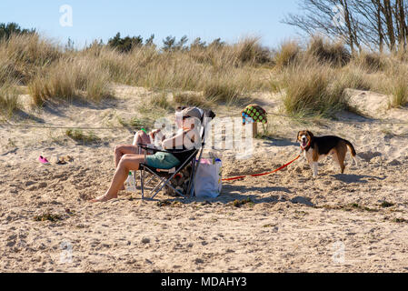 Studland, Dorset, UK, 19.. April 2018, Wetter: Menschen am Sandstrand am Nachmittag Sonne tanken und die Hitze genießen an dem vielleicht heißesten Apriltag seit fast 70 Jahren. Ein Paar, das auf Liegestühlen sitzt, mit Blick auf die Sonne und einem Hund auf einer Leine dahinter. Stockfoto