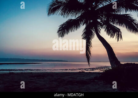 Tropical Beach Hintergrund bei Sonnenuntergang Sonnenaufgang mit Kokospalme. schwarze Silhouette Palmen Zweige gegen helles blau rosa Himmel. Stockfoto
