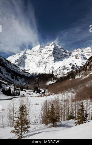 Kastanienbraune Glocken im Winter mit frischem Schnee, Colorado Stockfoto