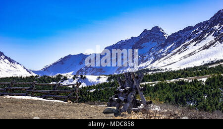 Flat Top Mountain, Alaska Stockfoto