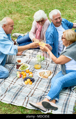 Happy Senioren genießen Sie ein Picknick im Park Stockfoto
