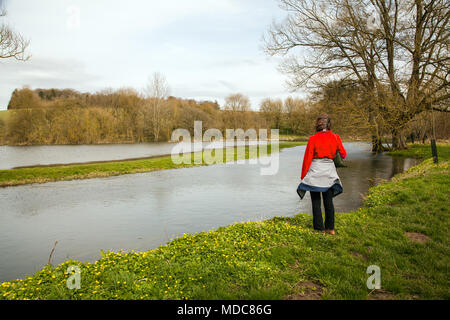 Frau zu Fuß durch Ackerland entlang den Fluss Coln zwischen Bibury und Coln St Aldwyns in der englischen Landschaft von Cotswold Gloucestershire überflutet Stockfoto