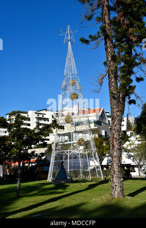 Hohe Weihnachtsbäume umgearbeitet von Leuchten mit beleuchteten Christbaumkugeln in Ihnen auf der Insel Madeira Stockfoto