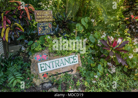 Üppige Vegetation Umschläge ein Stein ein Eingangsschild für die Barbados botanischen Garten. Stockfoto