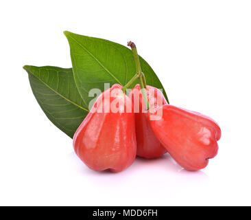 Rosenapfel, isoliert auf weißem Hintergrund Stockfoto