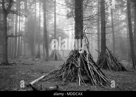 Den Bereich für Kinder in Wald Landschaft auf der nebligen Herbstmorgen in Schwarz und Weiß Stockfoto