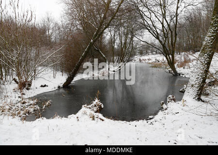 Gallows Hill Nature Reserve Otley im Winter nach Schneefall zeigen einen Teich und die umliegenden Wälder Stockfoto