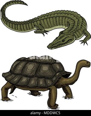 Kroko und Schildkröte. Reptilien und Amphibien Pet und tropische Tier. Graviert Hand in alten Vintage Skizze gezeichnet. Vector Illustration. Wildlife und exotischen Zoologie. Stock Vektor