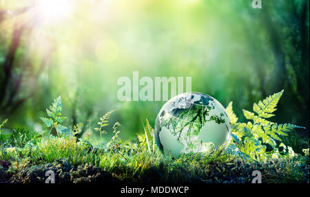 Globus auf Moos im Wald - Umweltkonzept Stockfoto