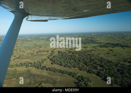 Fliegen über das Pantanal in Brasilien während der trockenen Jahreszeit Stockfoto