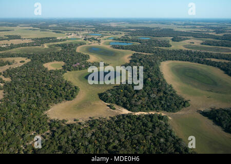 Luftaufnahme der Region Nhecolandia des Pantanal in Brasilien Stockfoto