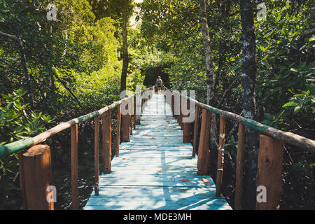 Wooden bridge lead to jungle in Thailand. The road in tropical jungles. The bridge over the swamp in the mangroves. impenetrable jungle Stockfoto