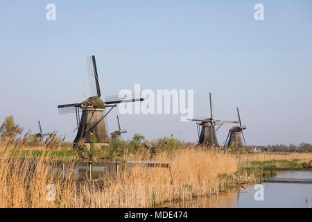 Windmühlen bei der Unesco Welterbe Ort Kinderdijk in den Niederlanden, Abendlicht Stockfoto