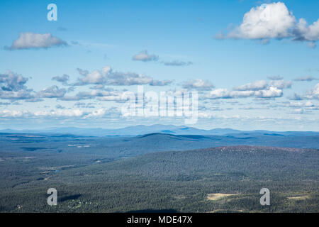 Landschaft Foto eines finnischen ländlichen Wald aufgenommen auf der Oberseite von Ylläs fiel in Lappland Stockfoto