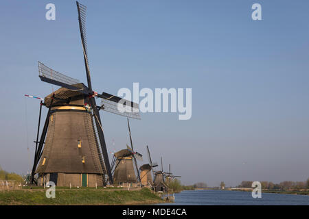 Windmühlen bei der Unesco Welterbe Ort Kinderdijk in den Niederlanden, Abendlicht Stockfoto