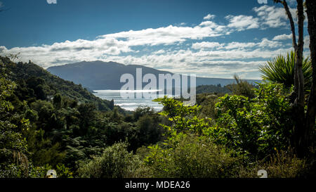 Waimangu Volcanic Rift Valley in Rotorua Region, Rotomaha See, Nordinsel von Neuseeland Stockfoto