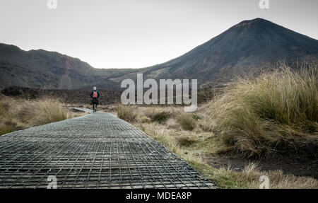 Ngauruhoe im Tongariro Nationalpark in Neuseeland, Tongariro Alpine Crossing Track Anfang, vulkanischen Gebiet Stockfoto
