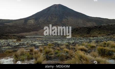 Ngauruhoe im Tongariro Nationalpark in Neuseeland, Tongariro Alpine Crossing Track Anfang, vulkanischen Gebiet Stockfoto