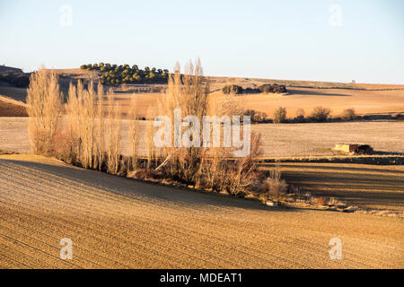 Trockene und warme Landschaft im Winter in den Bereichen Peleas de Arriba, Provinz von Zamora, Kastilien und Leon, Spanien Stockfoto