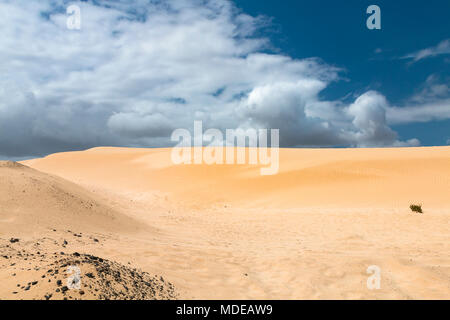 Blick auf den berühmten Sanddünen von Corralejo auf Fuerteventura, Spanien. Stockfoto