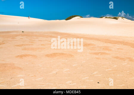 Blick auf den berühmten Sanddünen von Corralejo auf Fuerteventura, Spanien mit blauem Himmel und einige Touristen im Hintergrund. Stockfoto