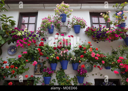 Bunte blumenpracht am Fest der Innenhöfe, Cordoba, Andalusien, Spanien, Europa Stockfoto