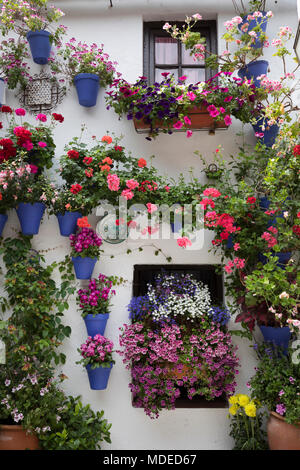 Bunte blumenpracht am Fest der Innenhöfe, Cordoba, Andalusien, Spanien, Europa Stockfoto