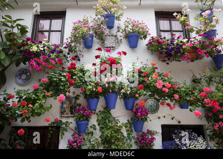 Bunte blumenpracht am Fest der Innenhöfe, Cordoba, Andalusien, Spanien, Europa Stockfoto