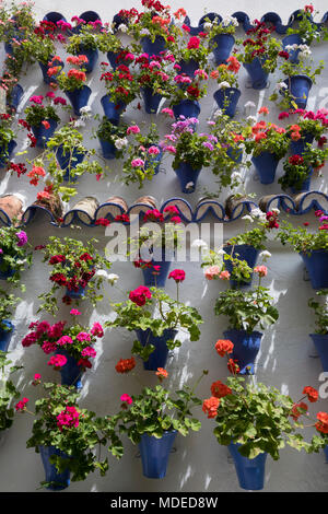 Bunte blumenpracht am Fest der Innenhöfe, Cordoba, Andalusien, Spanien, Europa Stockfoto