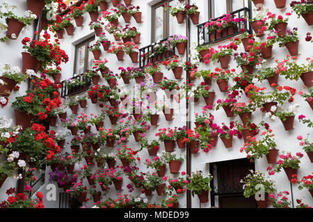 Bunte blumenpracht am Fest der Innenhöfe, Cordoba, Andalusien, Spanien, Europa Stockfoto