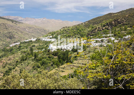 Blick auf weißen Bergdörfer Bubion und Capileira, Sierra Nevada National Park, Alpujarras, Provinz Granada, Andalusien, Spanien, Europa Stockfoto