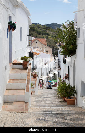 Schmale Gassen mit weiß getünchten andalusischen Häuser in Bergdorf, Frigiliana, Provinz Malaga, Costa del Sol, Andalusien, Spanien, Europa Stockfoto