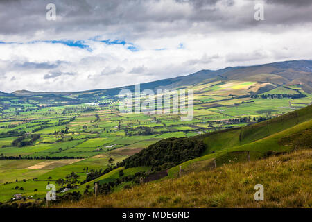 Feldern in der Ecuadorianischen Sierra, Anden, Machachi, Ecuador Stockfoto