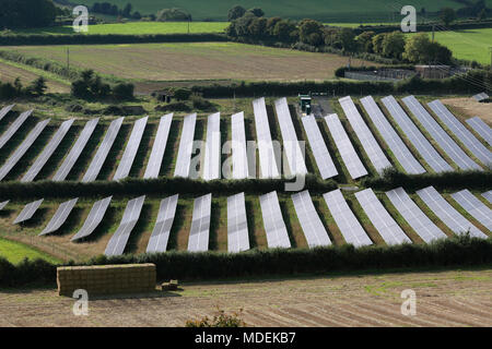 Mit Blick auf die Photovoltaik Arrays, die die Milborne Port Solar Farm, in der Nähe der Milborne Port, Somerset umfassen. Stockfoto