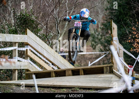 Rachel Atherton, professionelle Rennfahrer spezialisiert auf Downhill Mountain Bike Racing und ist ein Vielfaches UCI Weltmeister. Stockfoto