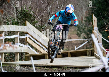 Rachel Atherton, professionelle Rennfahrer spezialisiert auf Downhill Mountain Bike Racing und ist ein Vielfaches UCI Weltmeister. Stockfoto