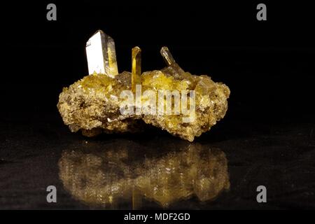 Gelbe Fishtail Gips Crystal Cluster. Makro Bild der geologischen Proben. UK. Stockfoto