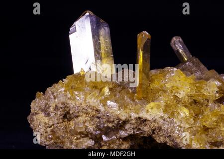 Gelbe Fishtail Gips Crystal Cluster. Makro Bild der geologischen Proben. UK. Stockfoto