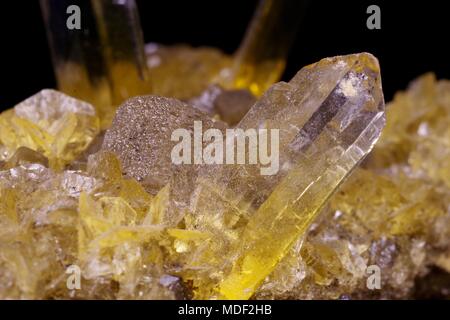 Gelbe Fishtail Gips Crystal Cluster. Makro Bild der geologischen Proben. UK. Stockfoto